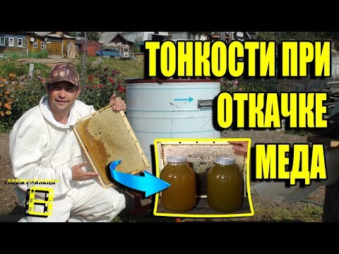 Видео: ОТКАЧКА МЕДА ИЗ РАМОК. ТОНКОСТИ ДЛЯ НАЧИНАЮЩЕГО ПЧЕЛОВОДА. ЛЮБИТЕЛЬСКОЕ ПЧЕЛОВОДСТВО