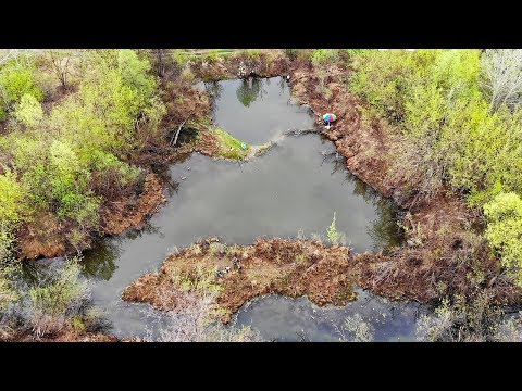 Видео: В ЭТОЙ ЛУЖЕ ПОЛНО РЫБЫ! КАРАСЬ, ОКУНЬ, ЧЕБАК, ЯЗЬ,ЩУКА! Рыбалка на поплавок