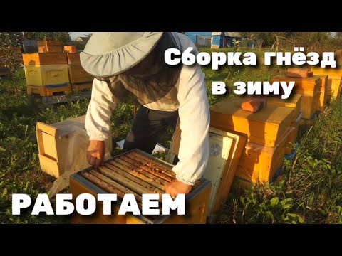 Видео: РАБОТАЕМ СОКРАЩАЕМ ГНЁЗДА