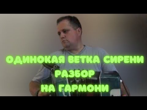 Видео: Одинокая ветка сирени разбор на гармони