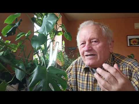 Видео: Прошу всех садоводов выращивать овощи и фрукты без болезней и вредителей и с хорошим вкусом