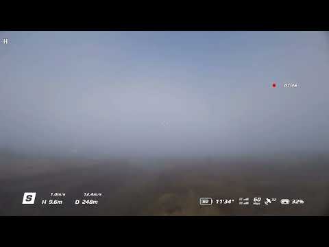 Видео: Утренний туман