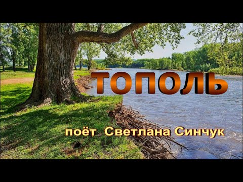 Видео: Тополь низко ветки клонит (поёт Светлана Синчук)