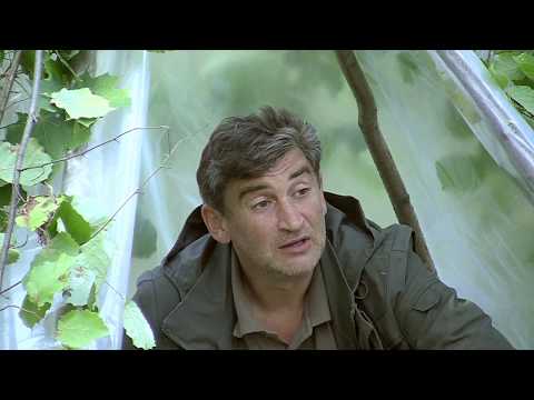 Видео: Уроки выживания в дикой природе. Сезон 1. Строительные убежища. Вигвам