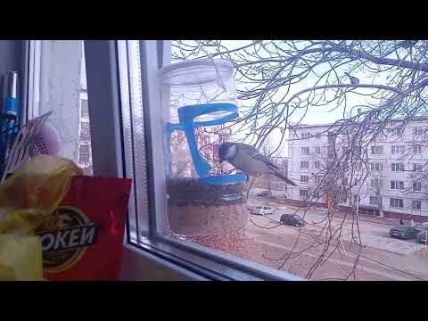 Видео: 30 октября 2025 г.