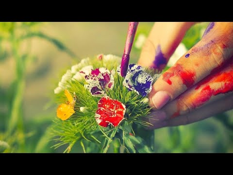 Видео: Мы и наши краски