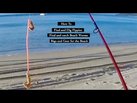 Видео: Как найти и поймать наживку и пляжных червей, оснастку и снасти для рыбалки на пляже.