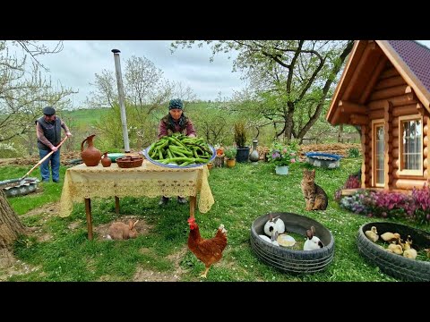 Видео: Жареная Крапива. Очень Вкусное  Блюдо. Чиргин Лезгинская Кухня