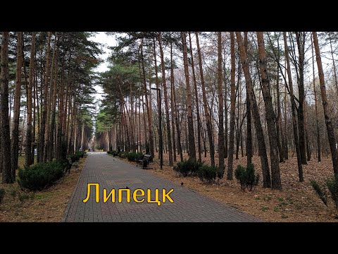Видео: Пешком через парк Победы города Липецка в ноябре 2025