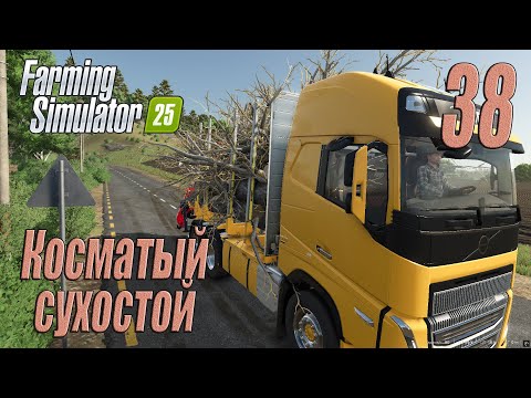 Видео: Farming Simulator 25 [карта Hutan Pantai], #38 Косматый сухостой