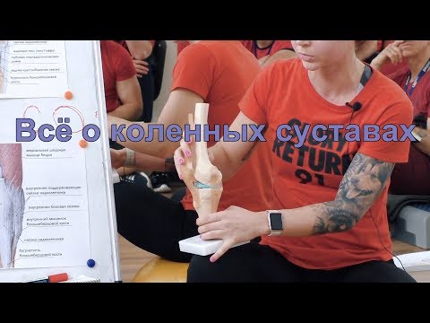Видео: Ваши колени. Семинар. Часть 1