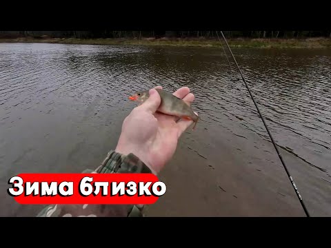 Видео: МОРМЫШИНГ В НОЯБРЕ! ГДЕ ИСКАТЬ РЫБУ?