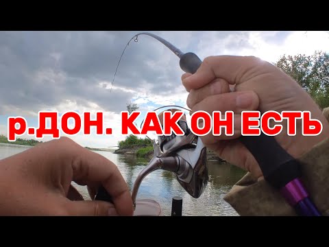 Видео: р.ДОН ▶ ТО ПУСТО, ТО ГУСТО #рыбалка #vovabeer