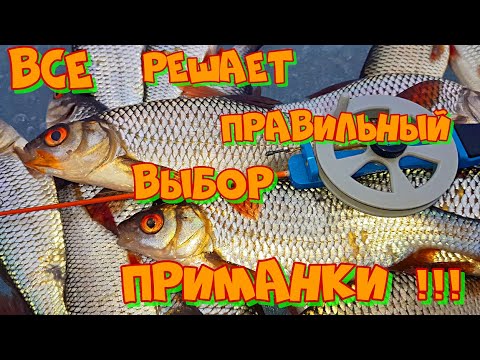 Видео: Ловля ПЛОТВЫ по ПОСЛЕДНЕМУ ЛЬДУ ! Рыбалка на МОРМЫШКУ с мотылем .