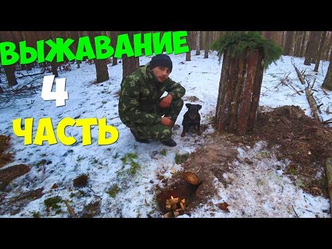 Видео: Выживание 96 часов [4 часть] Ловля пауком Лесная коптильня из бревен