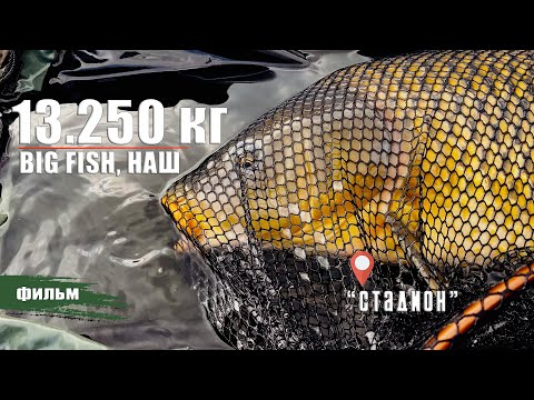 Видео: 13.250 КГ., BIG FISH, НАШ! РЫБАЛКА НА "СТАДИОНЕ".