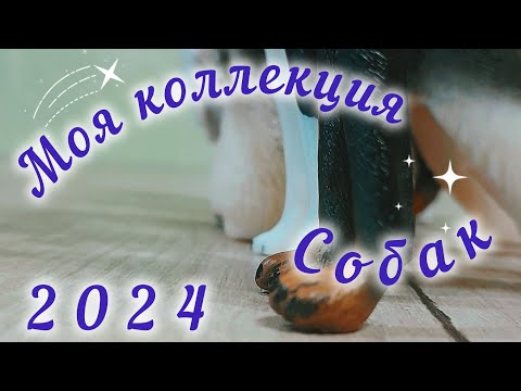 Видео: My collection #4 | фигурки собак 2024 // Schleich, Collecta, Derri Animals, Mojo