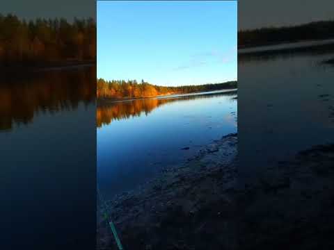 Видео: КАРЕЛИЯ,р.Чирка Кемь,пос.Боровой