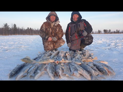 Видео: МОРОЗ ДАВИТ, ЩУКА ПРЁТ А ЖЕРЛИЦЫ ГОРЯТ В -30 НА РЫБАЛКЕ ПОСТОЯННО! ОЧЕНЬ РЫБНОЕ МЕСТО И НЕТ РЫБАКОВ!