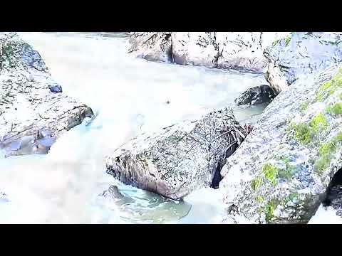 Видео: Речка Богунай и ее красоты✌️👍