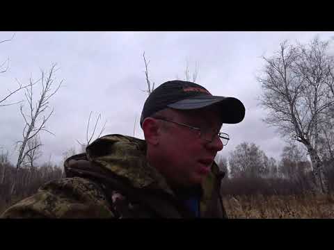 Видео: Охота на сибирскую косулю!