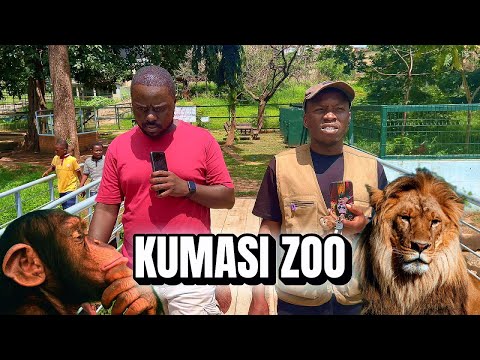 Видео: #watch - СЕГОДНЯ В ЗООПАРКЕ КУМАСИ. ПРОСТО ПОСМОТРИТЕ👀 #zoo