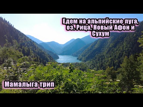 Видео: Мамалыга трип. Едем сами на машине на альпийские луга, озеро Рица, в Новый Афон и Сухум (часть 3)