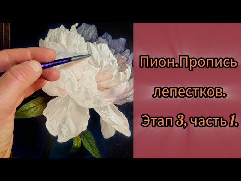 Видео: Техника живописи.Гиперреализм.Пион.Этап3,ч1 #маслянаяживопись #урокиживописи #техникаживописи