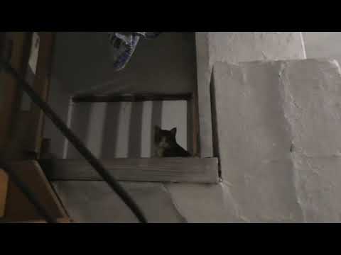 Видео: Спальная комната   Отдых