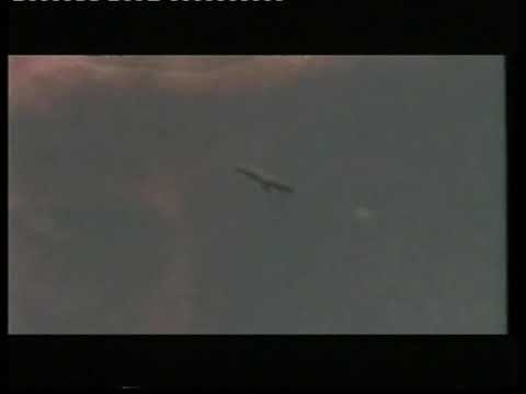 Видео: Түркістаным Тұраным.Марат Оразметов