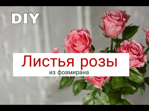 Видео: Как сделать листья розы | Роза из фоамирана