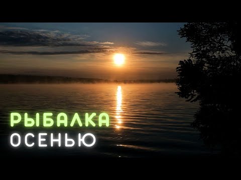 Видео: РЫБАЛКА ОСЕНЬЮ. Тихий, красивый день и РЫБА КЛЮЁТ. Осенняя рыбалка на Днепре