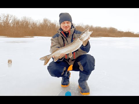 Видео: РАКЕТНА АТАКА ПІД ЧАС РИБОЛОВЛІ!!! Ловля Щуки на жерлиці