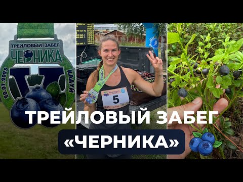Видео: ТРЕЙЛ "ЧЕРНИКА"