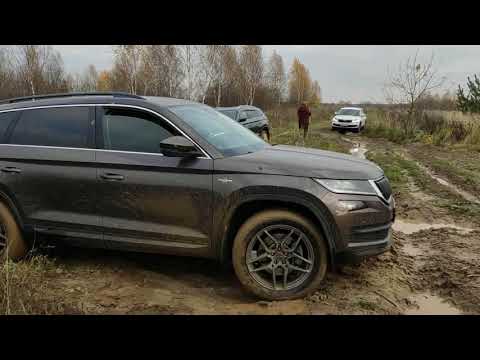 Видео: Сможет ли Kodiaq найти себе берлогу? Разведка Skoda Kodiaq на бездорожье. Пушкинский р-н.