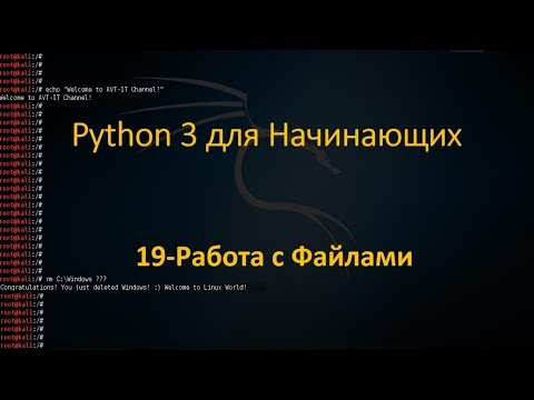 Видео: Python - Работа с Файлами, Создание, чтение, запис, добавление и пример анализа данных