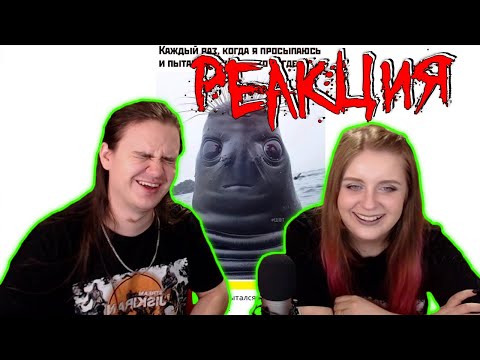 Видео: Лютые приколы. Одна КАРТОШКА за сто рублей | РЕАКЦИЯ НА @maxmaximov86 |