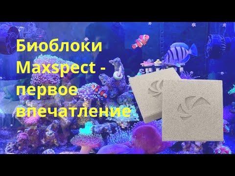 Видео: Патч-Риф модернизация сампа, биоблоки Maxspect