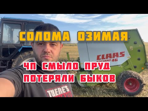 Видео: claas 46 солома озимая