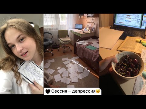 Видео: летняя сессия в СПБГУВМ/работа в ветеринарной клинике🕊