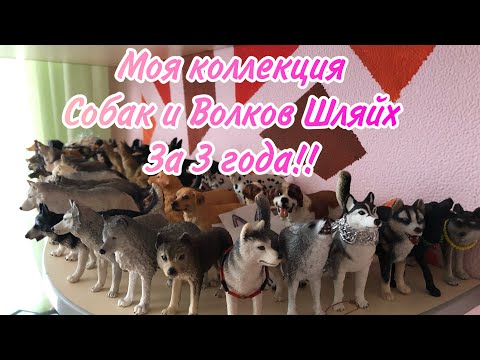 Видео: Вся моя коллекция Шляйх собак за 3 года Schleich MOJO Safari LTD PAPO COLLECTA и т.д