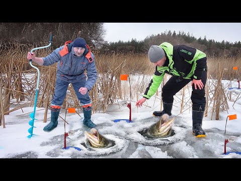 Видео: РЫБНАДЗОР ПРОДАЛ ЭТО МЕСТО... НЕПРЕРЫВНЫЙ УЛОВ!!! РЫБАЛКА на ЖЕРЛИЦЫ ЗИМОЙ 2024