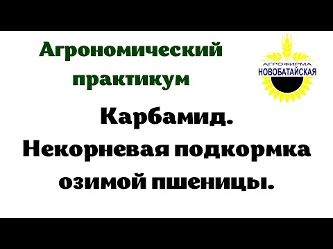 Видео: Карбамид (мочевина). Некорневые подкормки озимой пшеницы.