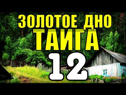 Видео: 20 ЛЕТ В ТАЙГЕ | НАХОДКА НА ЧЕРДАКЕ | КЛАД = ЗОЛОТОЙ ПРИИСК и МЕДВЕДЬ | ПРИКЛЮЧЕНИЯ В ЛЕСУ 12