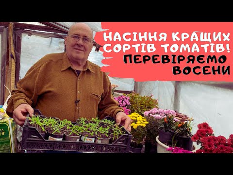 Видео: Насіння кращих сортів томатів! Перевіряємо восени