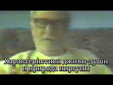 Видео: Характеристики дживы-души и природа ниргуны