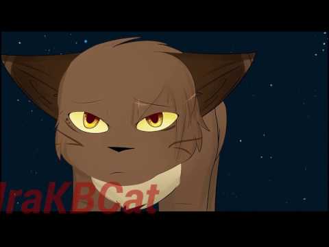 Видео: Коты Воители:Супергерой...