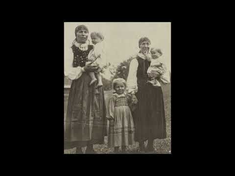 Видео: Поведу коника