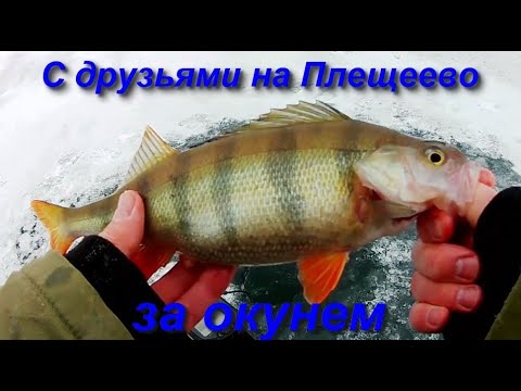 Видео: С друзьями на Плещеево за окуньком