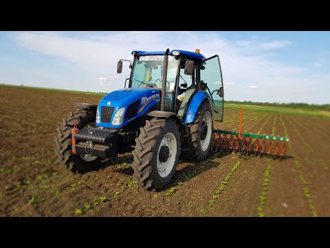 Видео: Обработка подсолнуха Ротационной бороной. New Holland TD 5.110